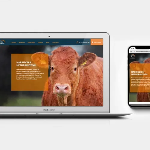 H&H website mockups on laptop and phones highlighting responsiveness
