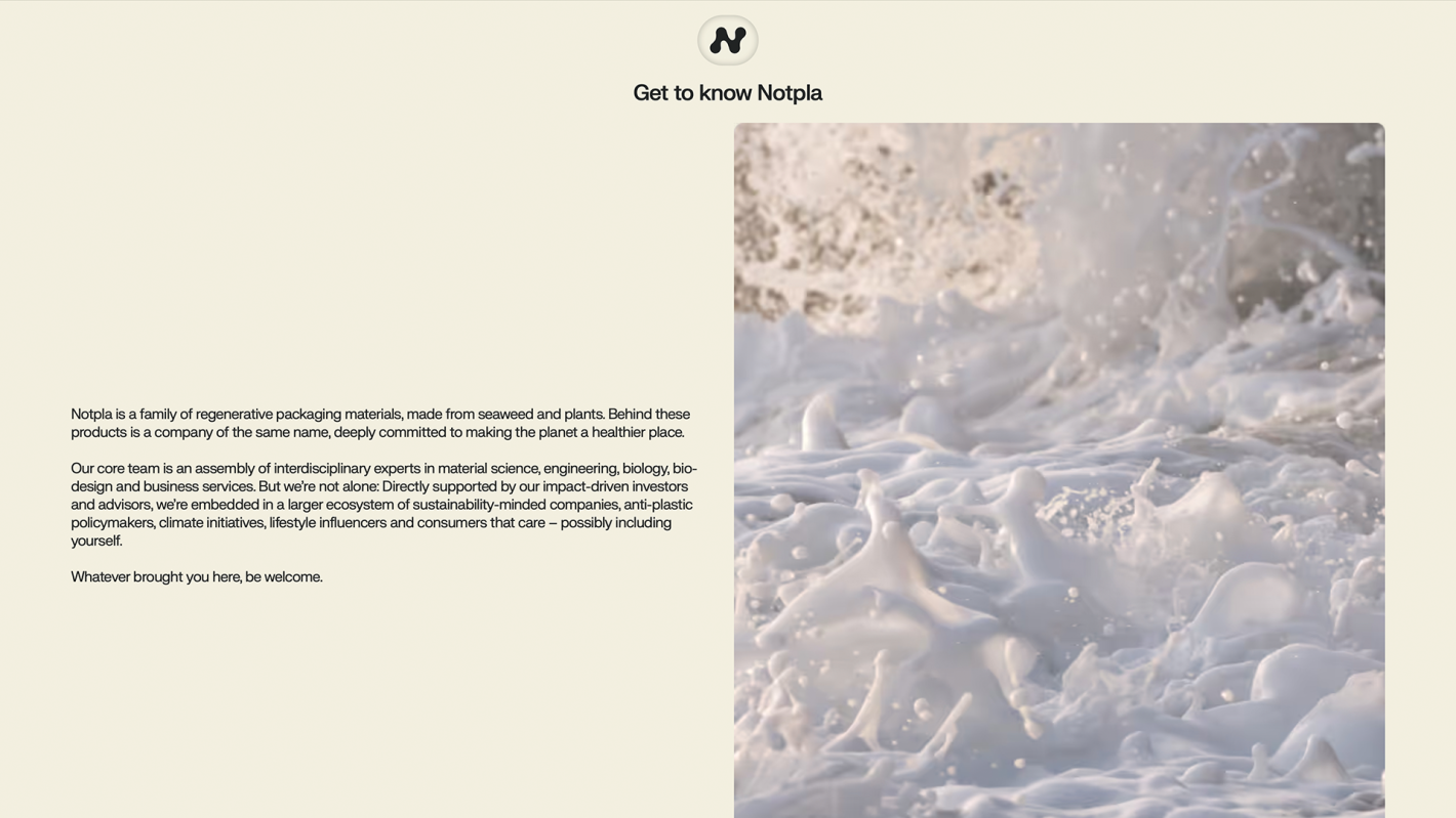Screenshot of Nopla site
