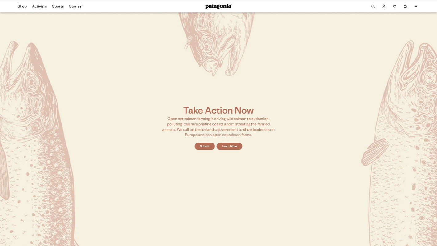 Screenshot of Patagonia site