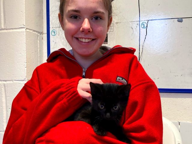 Dawn Woods' daughter cuddling a cat at Eden Animal Rescue