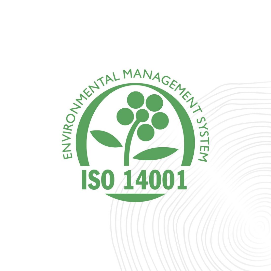 ISO 14001 Icon