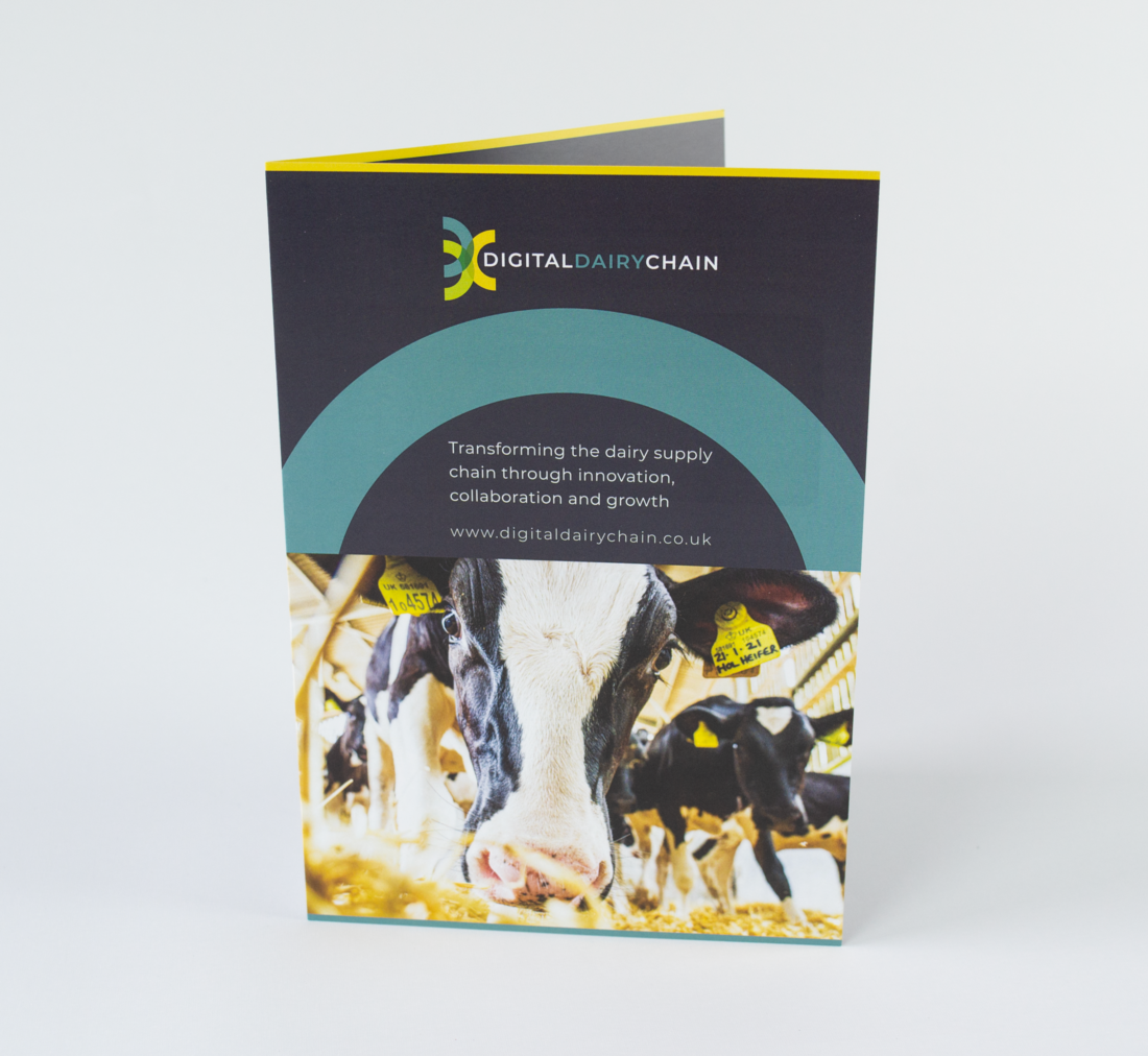 A5 folded flyer